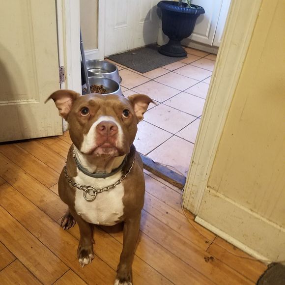 Meet your Posher, James - Picture 1 of 1